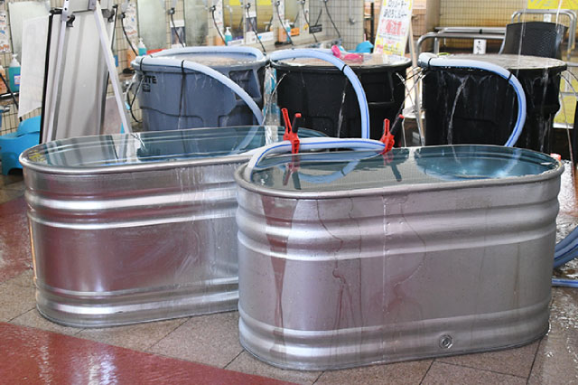 Gタンク+208ポリバケツ