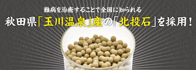 北投石温泉・北投石サウナ | 天然温泉 海王